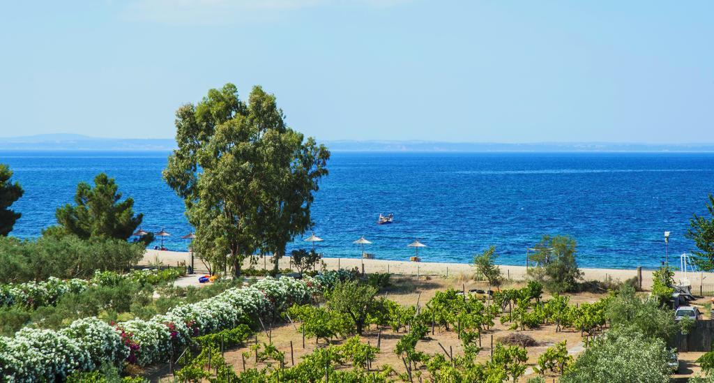Coral Blue Beach Hotel Jerakini Eksteriør bilde